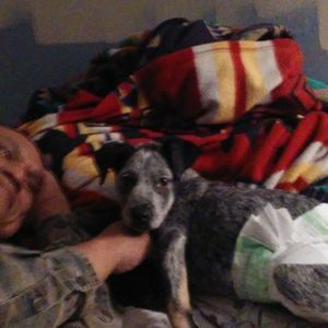 Meet your Posher, Trisha